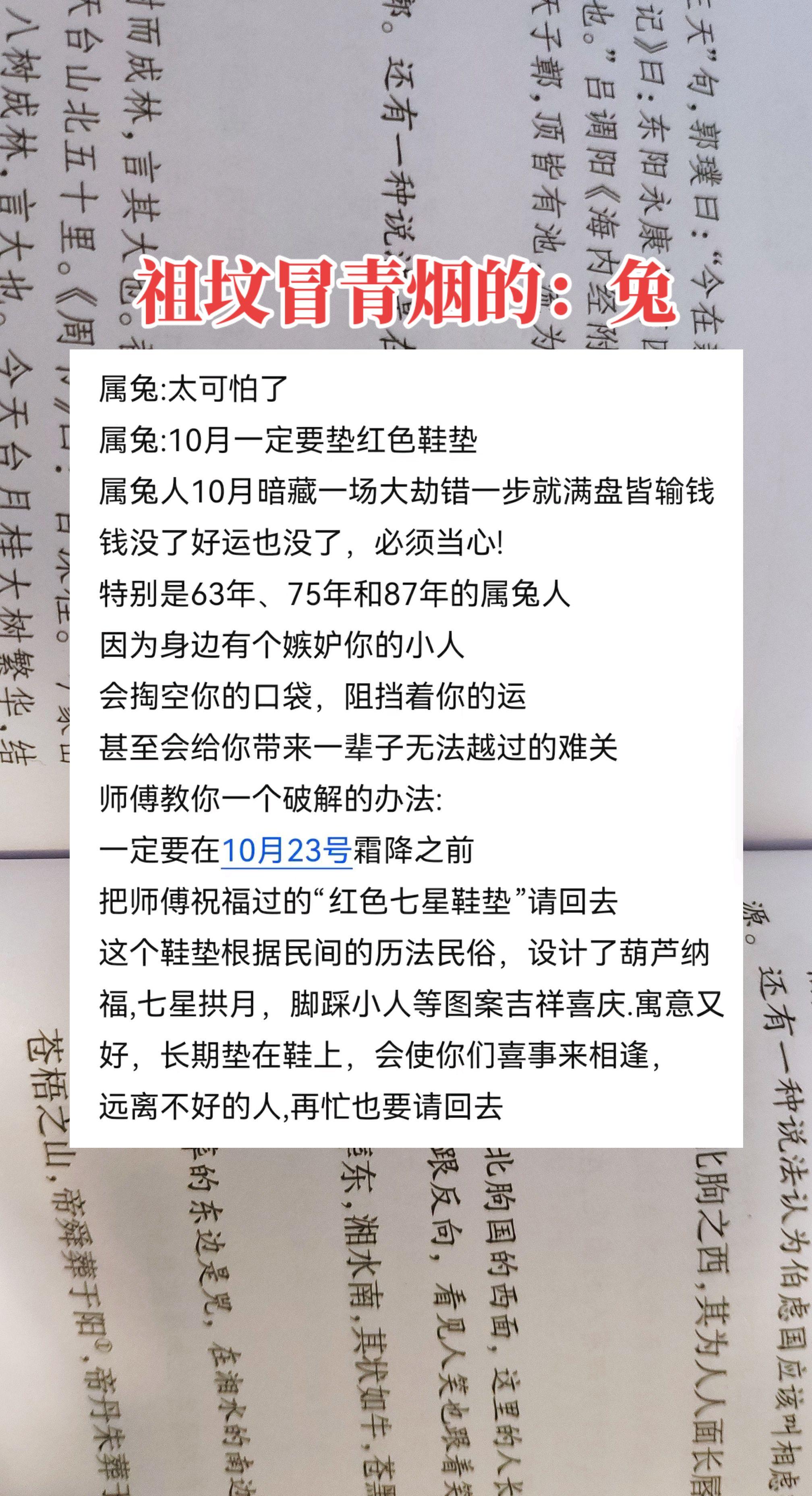 #兔 #属兔 #生肖兔