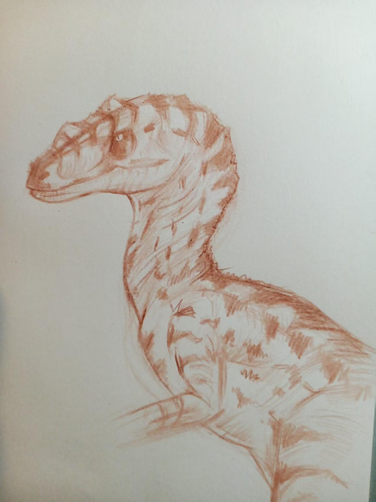 白皇后,优雅的猎手。今天直播的时候用彩铅速写了一只白皇后#侏罗纪公园3 #迅猛龙 #手绘 #速写 #白皇后