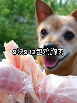 姐妹们,快去抢这个9块9到手 12包的英拿鸡胸肉!#鸡胸肉 #宠物鸡胸肉#新手养猫 #狗狗用品 #宠物用品