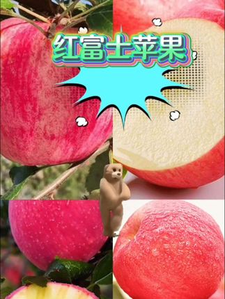 红富士苹果#脆甜多汁 #优质水果 #农产品 #红富士苹果 #水果