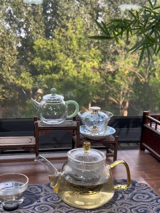 秋风起时,正好饮茶,捻一缕茶香,受半盏时光 秋风有信,茶香有约。茶与四季,皆是尚往#喝茶 #好物推荐🔥 #茶生活 #茶空间