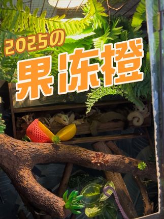 #微观世界 #治愈 #世界野生动植物日 #动物世界 #爬宠日常