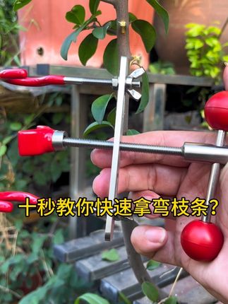 十秒教会你快速拿弯枝条?#实用工具 #整枝器 #盆景制作