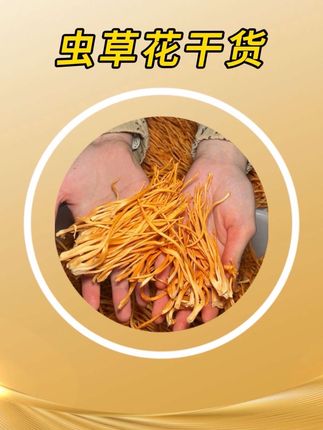 又一批新鲜的#虫草花 开始出货了,趁现在做活动!真的可以多囤点!3大份才10来块!#虫草花干货 #虫草