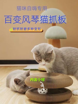 这个猫咪自嗨玩具真滴解压,我和我家的猫咪们抢着玩😂😂😂哈哈哈#萌宠#猫管家#宠物猫玩具 #猫抓板 #瓦楞纸猫抓板