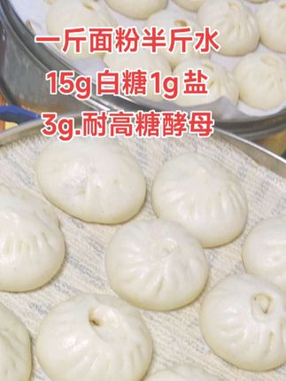 #手工包子 万能肉馅:可以包包子,可以包饺子,也可以做馅饼。面皮也是可以做馒头,做包子,做馅饼,配方给你们了,拿去做吧,做好了来评论区交作业#肉包
