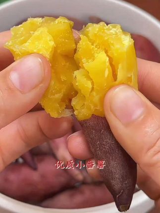 天目山小香薯上市了!软糯香甜,无茎无丝,产地现摘现发,趁有货赶紧囤!#天目山小香薯 #小香薯 #红薯#优质农产品