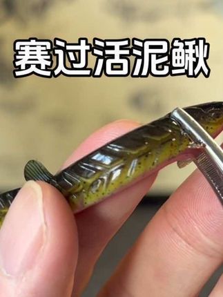 千万不要用这款泥鳅假饵,1:1还原真泥鳅,胡须,眼睛,血肚甚至泳姿都活像一条肥泥鳅,哪个鱼儿见了不想咬一口,用它还怕暴不了扣?#泥鳅假饵 #浪泥鳅 #路亚假饵 #泥鳅钓鱼 #路亚钓鱼