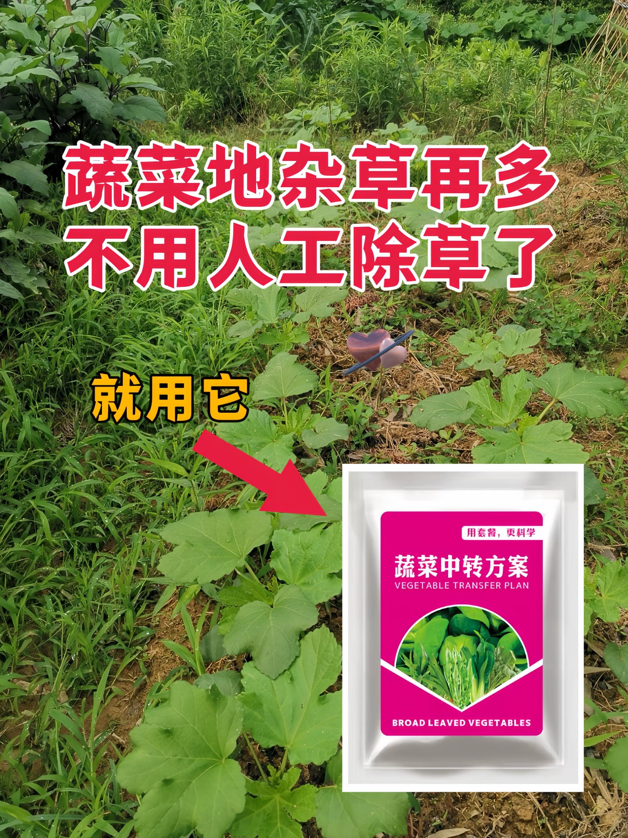 全新升级版蔬菜苗后专用除草配方。安全除草不伤蔬菜苗#除杂草烂根不伤蔬菜苗 #蔬菜苗后专用除草配方#农业种植 #三农 #服务三农助力三农