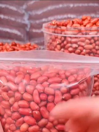叶满满东北农家优质红皮花生米四粒红炒炸食用颗粒饱满#红皮花生米 #优质农产品