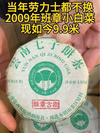 #茶叶 #老茶 #茶生活 #好茶 #口粮茶推荐