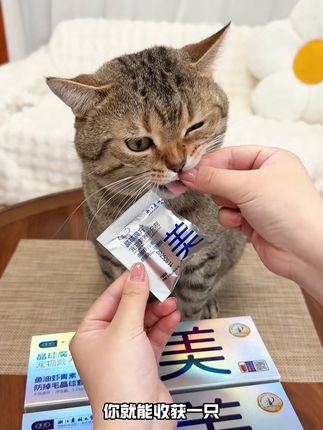 自从我家猫坚持吃这个鱼油晶球,现在居然都不咋掉毛了! #养宠好物 #鱼油冻干 #美毛 #猫咪零食