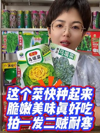 #蔬菜种子 #乌塌菜种子 #秋冬种菜 #太好吃了 #强烈推荐