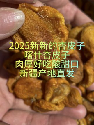 2025新疆喀什杏皮子,没有吃过的宝宝一定要尝一尝,酸甜可口,杏味儿十足,我们新疆传统果茶,杏皮子茶的主原料,自然晾晒#家乡特产 #好货推荐 #口感非常好 #杏皮子 #杏干