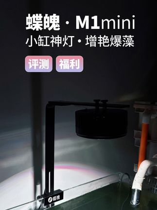蝶魄M1mini 【评测】反差极简设计,虽然很另类但产品真的很有诚意,福利在最后!#蝶魄 #扁灯 #爆藻灯 #鱼缸里的大自然 #福利来啦