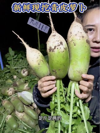 家乡的#青皮萝卜 成熟了#快来一起尝个鲜 凉拌,炒菜,包饺子.#源头好货 #家乡好货