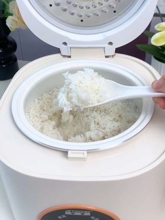 终于找到一家四口可以用的电饭煲了,再也不用只煮个锅底了,它可以煮饭煲汤炖肉都可以,真是实用还实惠#厨房好物 #电饭煲 #迷你电饭煲