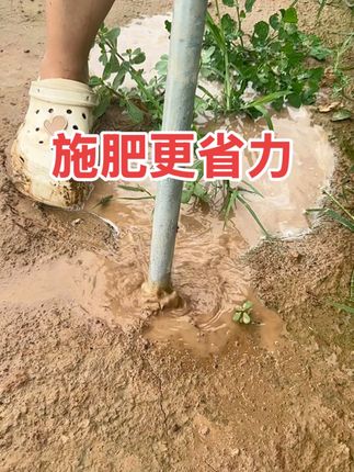 八孔加厚液体施肥枪 #园林工具 #八孔施肥枪 #施肥神器#烤烟种植技术与管理 #柑橘种植