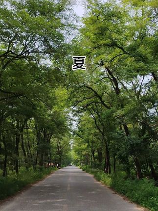 等了一年,终于拍齐了家乡这条路的春夏秋冬!同一个地方,只因不同的时间,不同的季节,不同的角度……便可呈现不同的风景。人生亦是如此,不同的年龄,不同的经历,不同的心境……便可成就不一样的人生。#农村生活 #乡愁记忆 #四季轮回