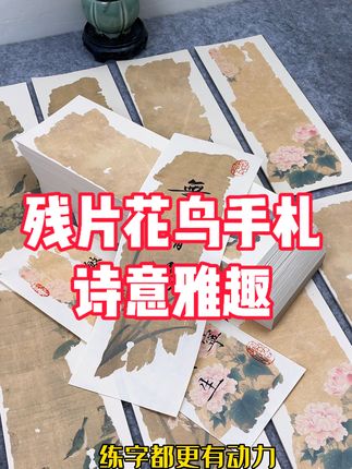 古雅诗意的残片花鸟手札,六袋六款,好写好看#书法 #国画 #毛笔字 #手写 #练字