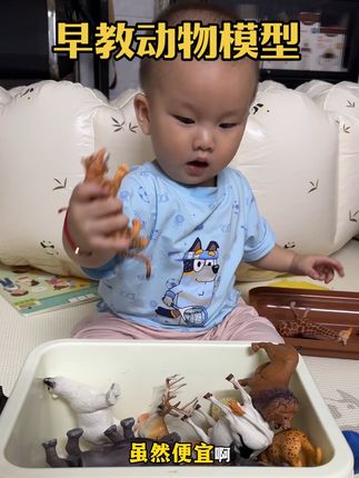 纽奇家这一套动物模型虽然便宜,但质感真的很好,家里有宝宝的,赶紧给孩子入手一套!#动物模型 #奶爸带娃 #宝妈心选 #早教益智玩具 #带娃好物