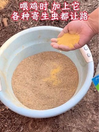 喂鸡时 加上它 各种寄生虫都让路#农村散养鸡 #散养土鸡 #农村养殖 #家庭农场 #鸡鸭鹅驱虫