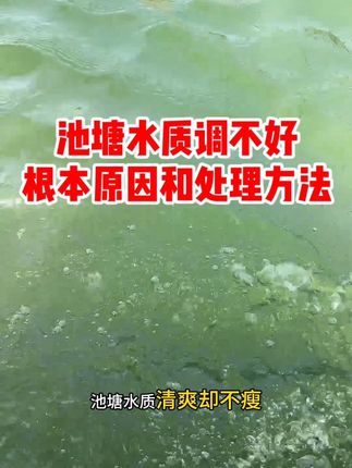 667 池塘水质调不好的根本原因和处理方法 #鱼虾蟹养殖 #水产养殖技术 #四大家鱼养殖 #螃蟹养殖 #水产养殖