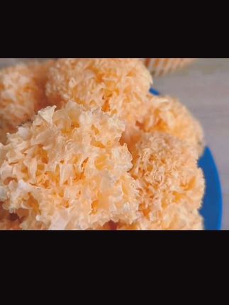 银耳#营养丰富 #快来一起尝个鲜 #好物推荐🔥 #自用好物分享 #好吃不贵经济实惠