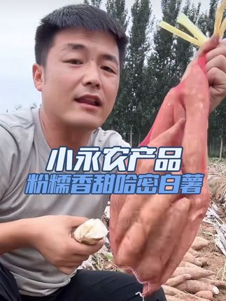 #哈密冰糖心红薯 吃一次就忘不掉,这个红薯就像他的名字一样,甜如蜜。如果你喜欢吃白心红薯,一定会喜欢他,回购率超高的红薯。#优质农产品 #产地直供 #抖音助农 @小永爱生活 @红霞的朋友圈