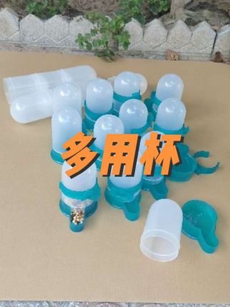 拍一发六