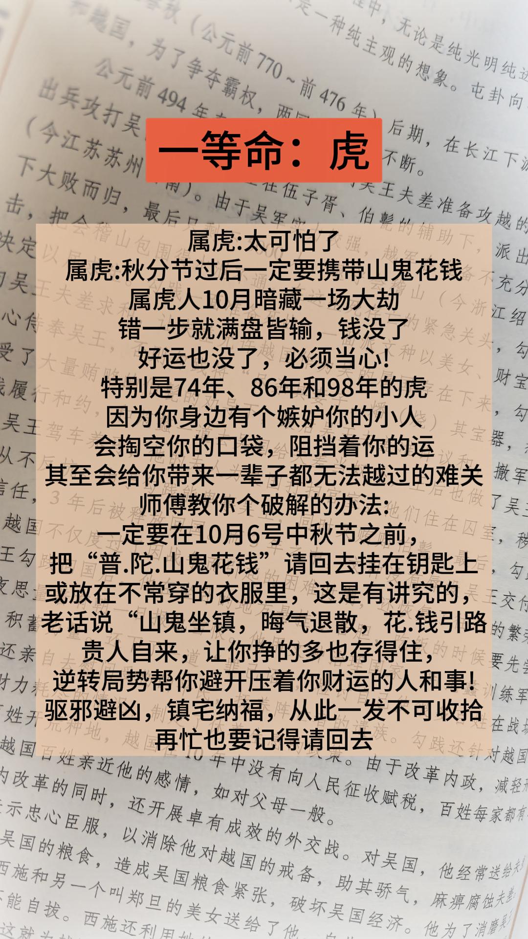 #虎#属虎#生肖虎