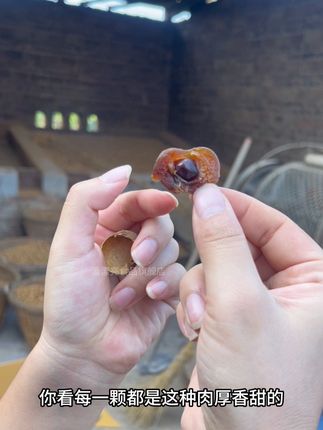 肉厚香甜的桂圆干 现烘现发 #优质农产品 #太好吃了 #软糯香甜