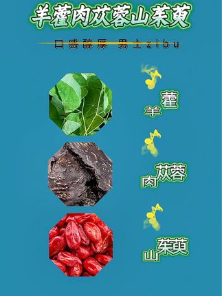 羊藿肉苁蓉山茱萸组合茶原料三枝九叶草山茱萸真材实料代茶饮#组合茶 #代茶饮 #男生必备 #每天一杯 #好物推荐