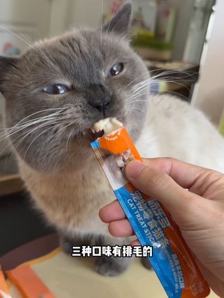 沛乐多猫条到手90支的超划算,杂牌的猫条直接靠边罚站吧#吃货猫 #养猫新手 #萌宠好物 #猫条