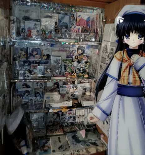这是我见过最萌的galgame女主…#galgame #等身立牌 #animecore #snow #古早