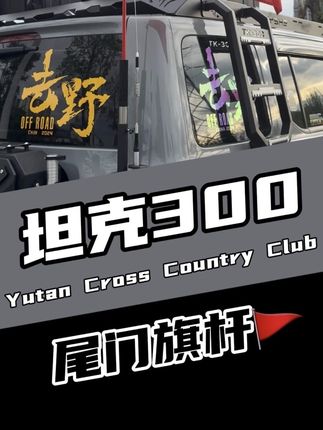 不想成为假期最靓的仔吗#坦克#坦克300