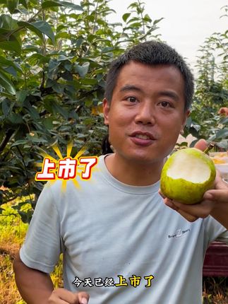 每天回购率超高的青皮翠冠梨它来啦!不要错过了!一年就这几天应季#百里洲砂梨 #百里洲翠冠梨 #翠冠梨