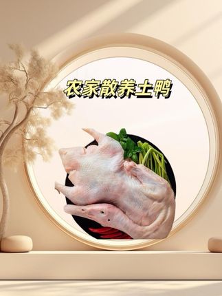 农家散养土鸭子,13块3到手一只#鸭子 #鸭肉 #家常美食 #啤酒鸭 #快来一起尝个鲜