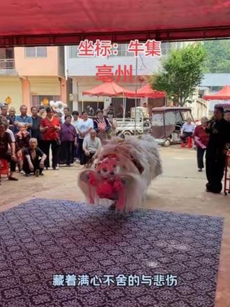 白狮的这一叩一拜 把对逝者的不舍与哀思演绎得淋漓尽致 #白狮文化 #舞狮技艺展示