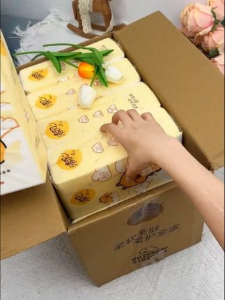 家用卫生纸看这里,清风卡皮巴拉挂抽10提整箱,4层250抽#居家好物 #清风悬挂式抽纸