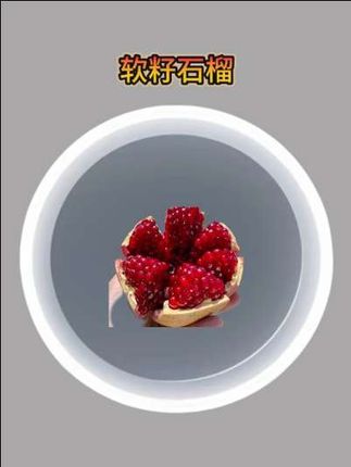 #软籽石榴 这个四川会理突尼斯软籽石榴,你们赶紧去抢,今天价格特别合适。#优质农产品 #强烈推荐 #应季水果 #抖音助农扶农 @DOU+上热门