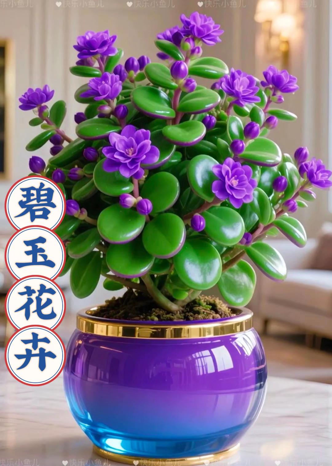 碧玉花卉绿植#家庭养花 #养花人 @抖音小助手