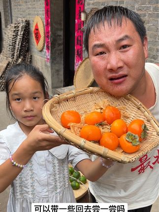 #柿子 #超便宜超划算 #柿子熟了 #新鲜应季水果 #火晶柿子