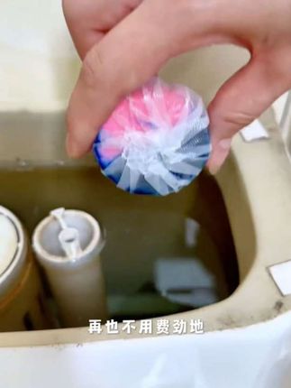 #创作灵感 我家马桶又想要干净,又不想有异味,就买了这款双效洁厕块,真的是太好用了#马桶洁厕块 #洁厕块 #实用小技巧