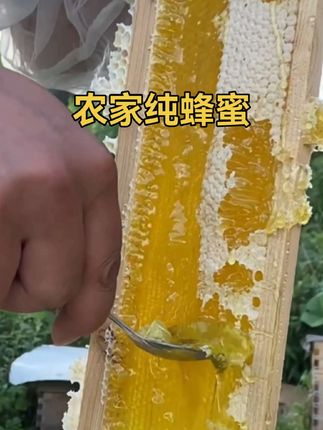 #蜂蜜现场实拍#原创视频 #纯天然蜂蜜自产自销 #抖音助农 #好东西一起分享