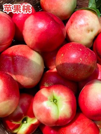 脆桃党们,妥妥的口福来了!贵州高山农家自种的#苹果桃 桃香更浓郁、口感更脆甜。#桃子 #脆桃 #应季水果 #水蜜桃