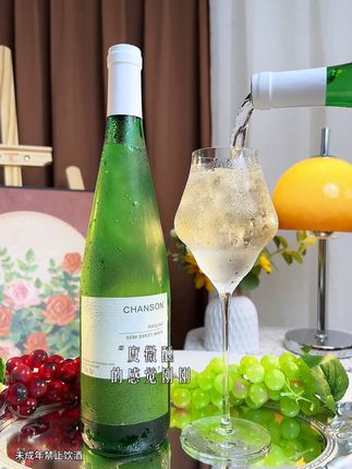 适合微醺的雷司令半甜白,酸酸甜甜的加点冰更绝 #雷司令 #葡萄酒 #微醺的感觉刚刚好 #口感特别好 #仙女都在喝什么