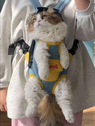 #宠物背包 #宠物背带 #萌宠出道计划 #养猫新手 #新手养宠