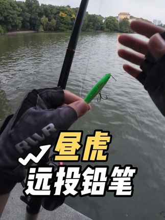昼虎铅笔 昼虎铅笔12克6.8cm长度 远投和适口性太好了 窗口期一定要选大咬色!#昼虎铅笔 #玩路亚的哥哥们 #路亚饵
