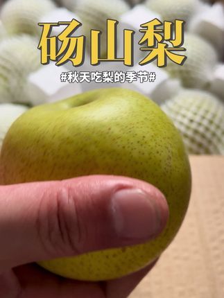 这个砀山梨我不吃,都能想到小时候咬一口,汁水从嘴角流下来的样子#砀山梨 #新鲜水果